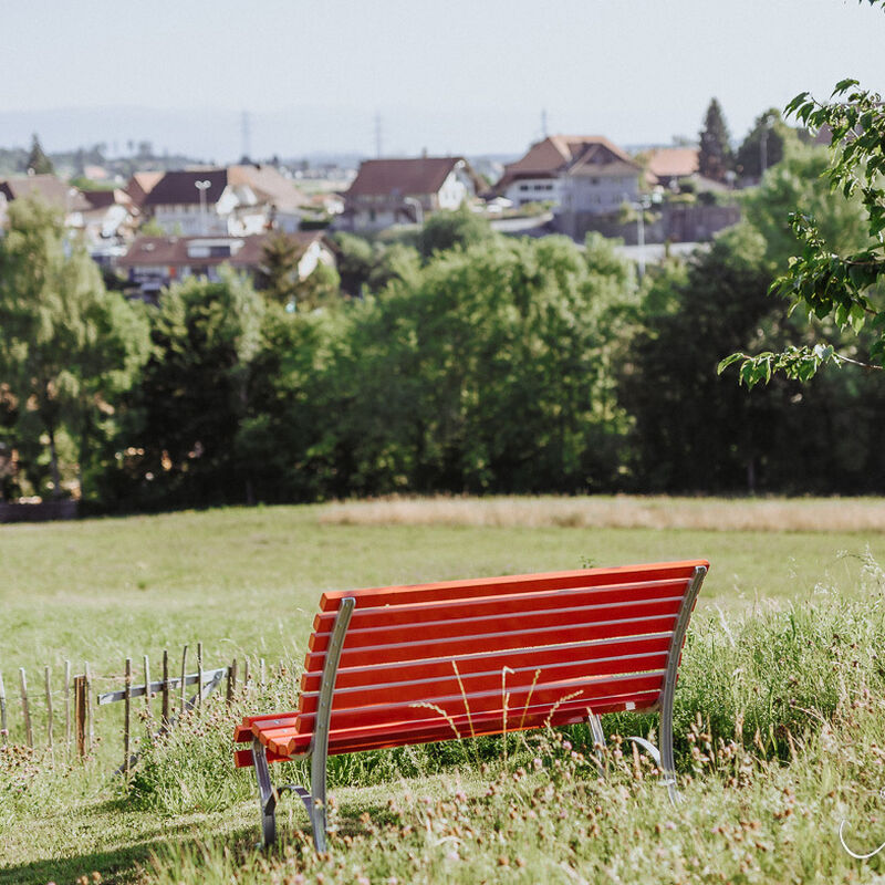 Gartenbank, Bern